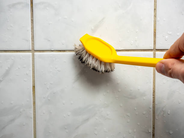 Best Toxic Mold Removal  in Lake Hallie, WI