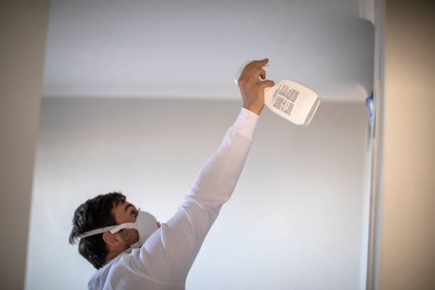 Best Fast Mold Removal  in Lake Hallie, WI