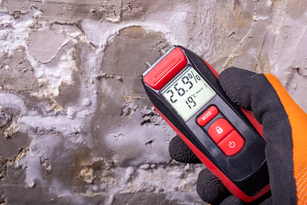Best Mold Cleaning Services  in Lake Hallie, WI