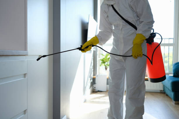 Best Fast Mold Removal  in Lake Hallie, WI
