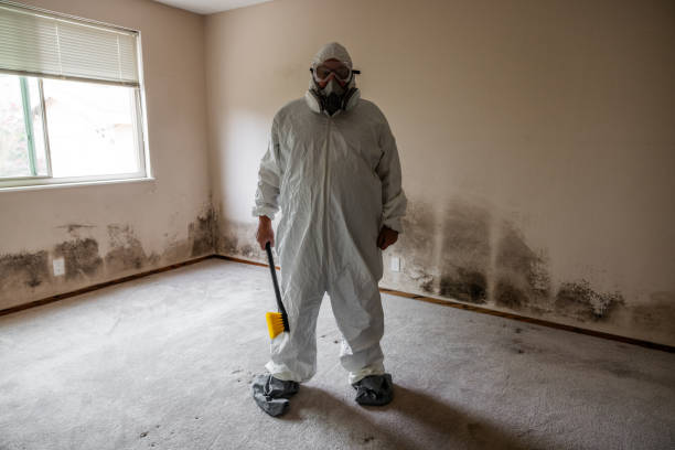 Certified Mold Removal in Lake Hallie, WI